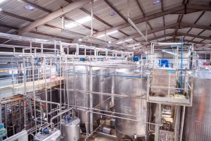 Organised Dairy Revenues to Explode by 15% This Fiscal