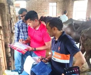 Rohtak Urban Dairy Crackdown Slams Violators With Sealing Threats