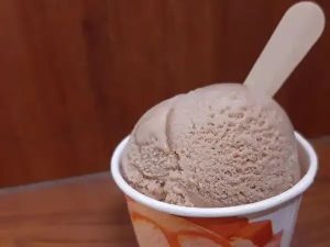 Rx to Scoop How a 141-Year-Old Pharmacy Became an Ice Cream Icon