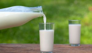 The Ayurvedic Milk Manual Stop Drinking It Wrong