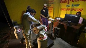 Clean-Up Costs FDA Crackdown Eliminates Substandard Milk, Squeezing Mumbai Sweet Shops