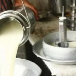 Cost Pressure Spills Over Private Brands Hike Milk and Curd Prices for Second Time in 7 Months