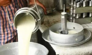 Cost Pressure Spills Over Private Brands Hike Milk and Curd Prices for Second Time in 7 Months