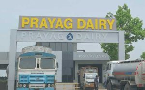 From 1,500L to ₹100 Crore India's Purest Dairy Revolution