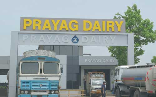 From 1,500L to ₹100 Crore India's Purest Dairy Revolution