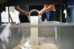 IRCTC Faces Catering Scrutiny Following Viral Milk Quality Incident on Vande Bharat Express