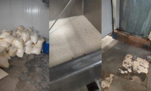 India Dairy Crackdown Two Major Plants Suspended