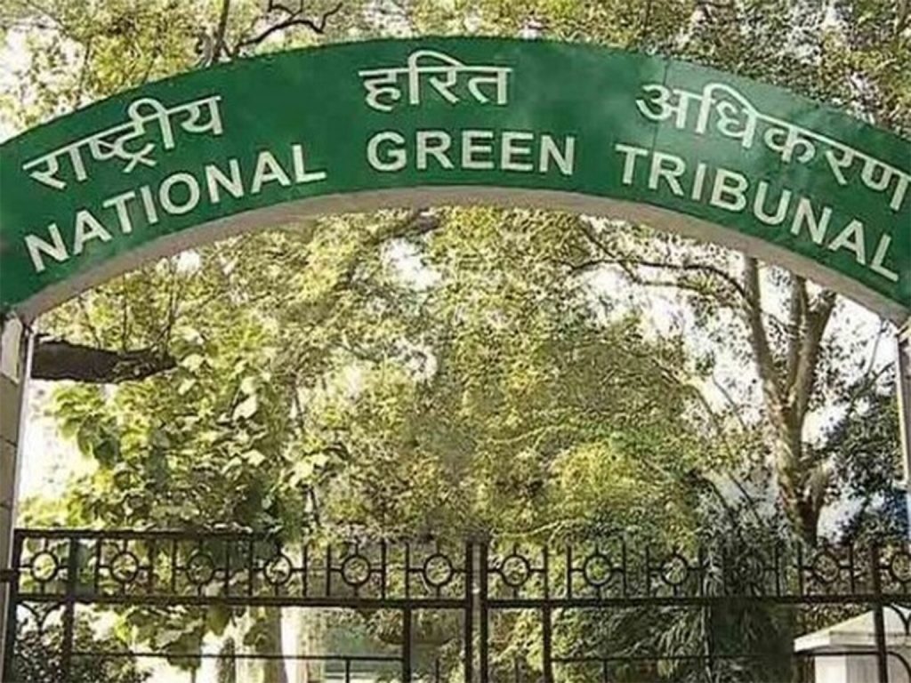 India’s Green Tribunal Demands Fresh Enforcement Action on Yamuna Floodplain Dairy Ban