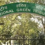 India’s Green Tribunal Demands Fresh Enforcement Action on Yamuna Floodplain Dairy Ban India’s Green Tribunal Demands Fresh Enforcement Action on Yamuna Floodplain Dairy Ban