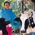 India's New Dairy Frontier Niuland Infrastructure Overhaul