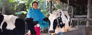 India's New Dairy Frontier Niuland Infrastructure Overhaul