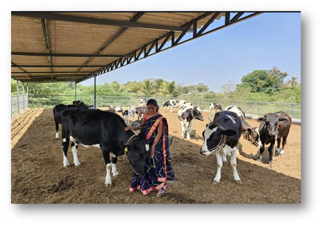 India's Remote Border State Plots Major Dairy Takeover