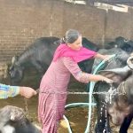 Integrated Smallholder Livestock Breeding Generates Debt-Free ₹1 Crore Farm Asset Base in Punjab