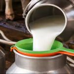 No Floor Price Centre Rejects Milk MSP in Parliament Amid Nationwide FSSAI Quality Audits
