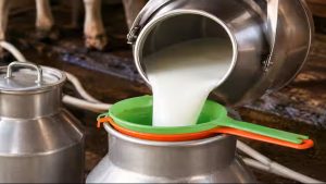 No Floor Price Centre Rejects Milk MSP in Parliament Amid Nationwide FSSAI Quality Audits