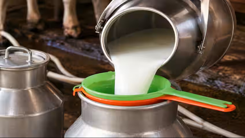 No Floor Price Centre Rejects Milk MSP in Parliament Amid Nationwide FSSAI Quality Audits