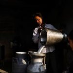 Regulatory Enforcement: Maharashtra Daily Milk Procurement Drops 750,000 Litres After Statewide FDA Crackdown Regulatory Enforcement Maharashtra Daily Milk Procurement Drops 750,000 Litres After Statewide FDA Crackdown