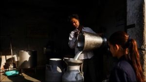 Regulatory Enforcement Maharashtra Daily Milk Procurement Drops 750,000 Litres After Statewide FDA Crackdown