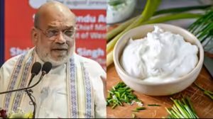 Strategic Milestone for Bengal Dairy Amit Shah Lays Foundation for World's Largest Curd Processing Hub