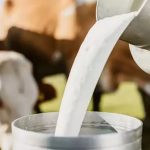 Tamil Nadu Facing Severe Milk Shortage as Prices Soar Tamil Nadu Facing Severe Milk Shortage as Prices Soar