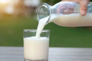 Climate Pressure Heat on Dairy How Rising Temperatures Impact Cattle Health and Milk Production