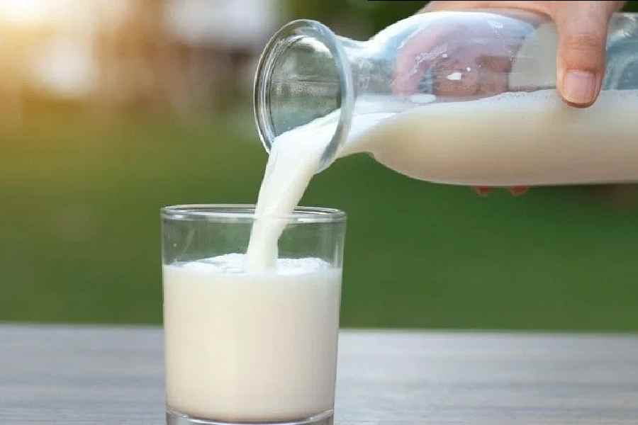 Climate Pressure Heat on Dairy How Rising Temperatures Impact Cattle Health and Milk Production