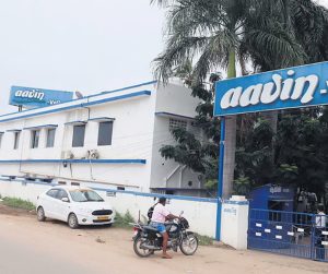 Demand Surges and Processing Bottlenecks Trigger Aavin Milk Supply Delays in Coimbatore