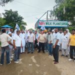 Haryana Dairy Farmers Turn Up Heat on Vita, Demanding Milk Procurement Price Hike