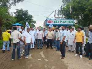 Haryana Dairy Farmers Turn Up Heat on Vita, Demanding Milk Procurement Price Hike