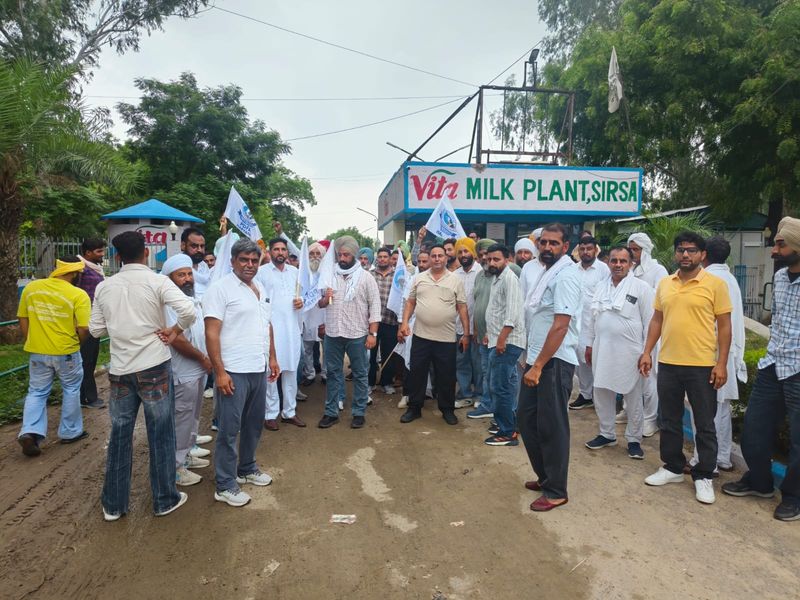 Haryana Dairy Farmers Turn Up Heat on Vita, Demanding Milk Procurement Price Hike