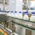 Indian Dairy Companies Move Up the Value Chain to Boost Margins via Protein, Cheese, and Premium Segments