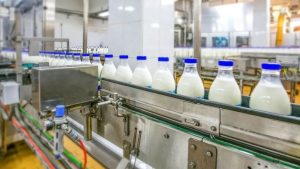 Indian Dairy Companies Move Up the Value Chain to Boost Margins via Protein, Cheese, and Premium Segments