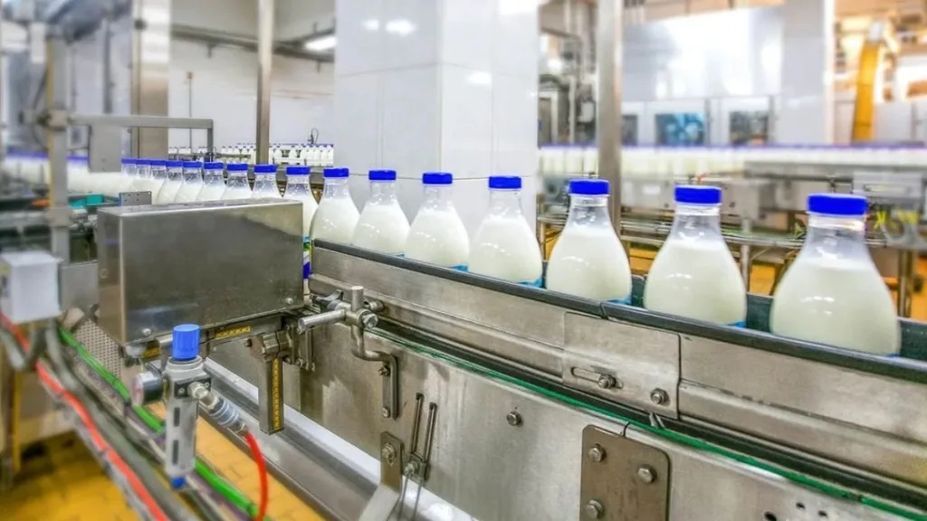Indian Dairy Companies Move Up the Value Chain to Boost Margins via Protein, Cheese, and Premium Segments
