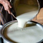 Maharashtra Considers Anti-Organized Crime Laws to Combat Dairy Adulteration Maharashtra Considers Anti-Organized Crime Laws to Combat Dairy Adulteration
