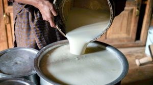 Maharashtra Considers Anti-Organized Crime Laws to Combat Dairy Adulteration