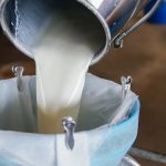 Maharashtra FDA Busts Major Milk Adulteration Racket in Navi Mumbai