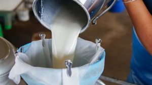 Maharashtra FDA Busts Major Milk Adulteration Racket in Navi Mumbai