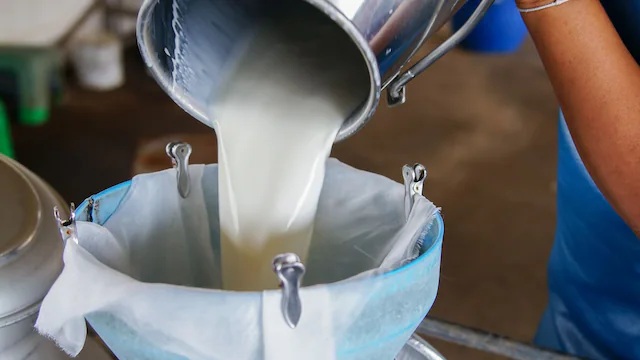 Maharashtra FDA Busts Major Milk Adulteration Racket in Navi Mumbai