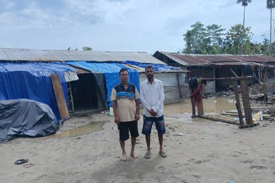 Migration Fears Mount After Devastating Floods Wipe Out Assam’s Thriving Dairy Heartland in Nepali Khuti