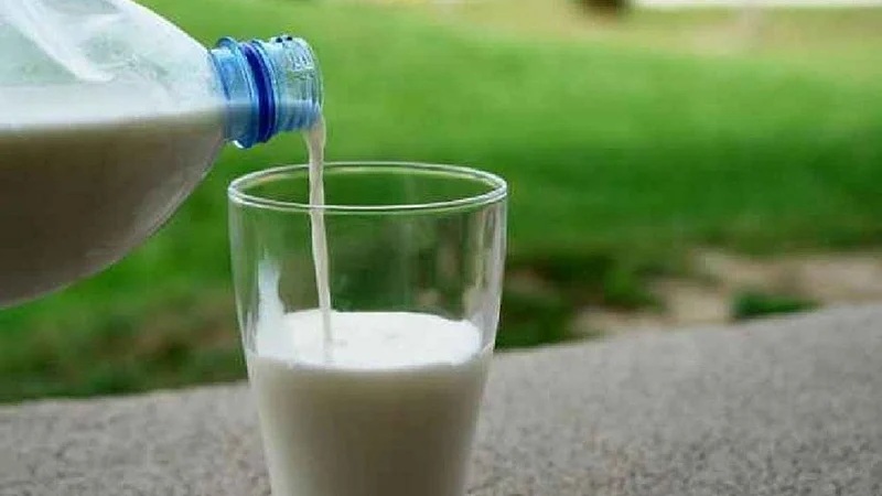 Mumbai Milk Prices to Rise by ₹9 Per Litre from September 1 Ahead of Festive Season