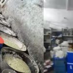 Nearly 90% of Delhi Dairies Unauthorised and Generating Daily Waste: Government Report Nearly 90% of Delhi Dairies Unauthorised and Generating Daily Waste Government Report