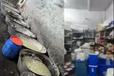 Nearly 90% of Delhi Dairies Unauthorised and Generating Daily Waste Government Report