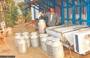 Nepal Supreme Court Orders Government to Enforce Timely Payments to Dairy Farmers