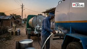 Punjab & Haryana High Court Grants Bail to Security Guard in ₹7.68 Lakh Dairy Plant Milk Theft Case