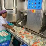 Quality Control Packaging Flaw Responsible for Odor in Aavin Milk, Inquiry Confirms Product Safety