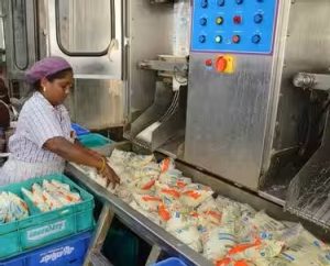 Quality Control Packaging Flaw Responsible for Odor in Aavin Milk, Inquiry Confirms Product Safety