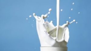 Tamil Nadu Hikes Milk Procurement Price to ₹41 Litre with ₹360 Crore Annual State Outgo