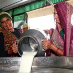Women-Led Dairy Cooperatives in Gujarat Expand 21% as Annual Turnover Tops ₹6,000 Crore