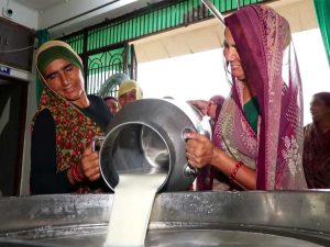 Women-Led Dairy Cooperatives in Gujarat Expand 21% as Annual Turnover Tops ₹6,000 Crore