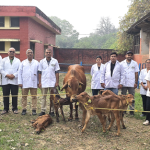 ICAR-IVRI Achieves Milestone in Indigenous Sahiwal Cattle Breeding